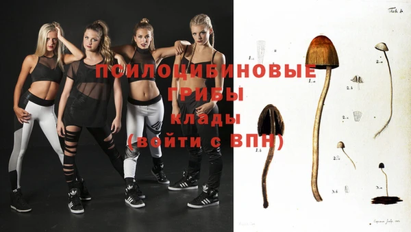 стафф Абинск