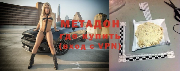 индика Алзамай