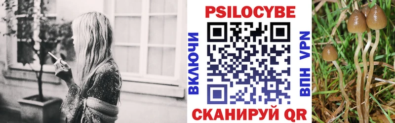 Галлюциногенные грибы Magic Shrooms  Кингисепп 