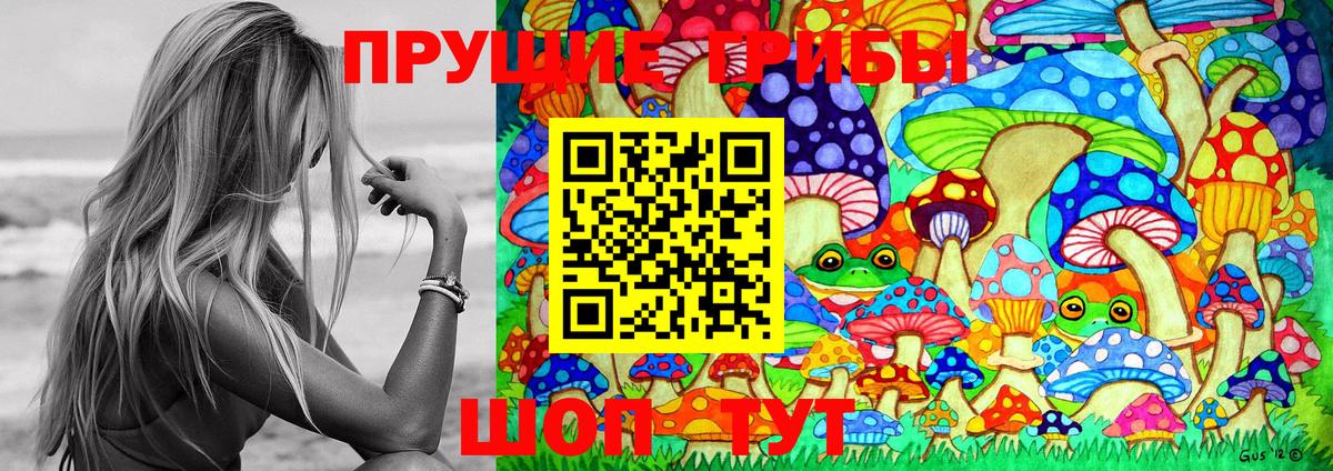 где можно купить   Галлюциногенные грибы Psilocybe  Вход с VPN  Кингисепп 