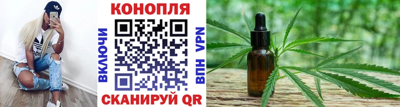 Каннабис сатива Кингисепп