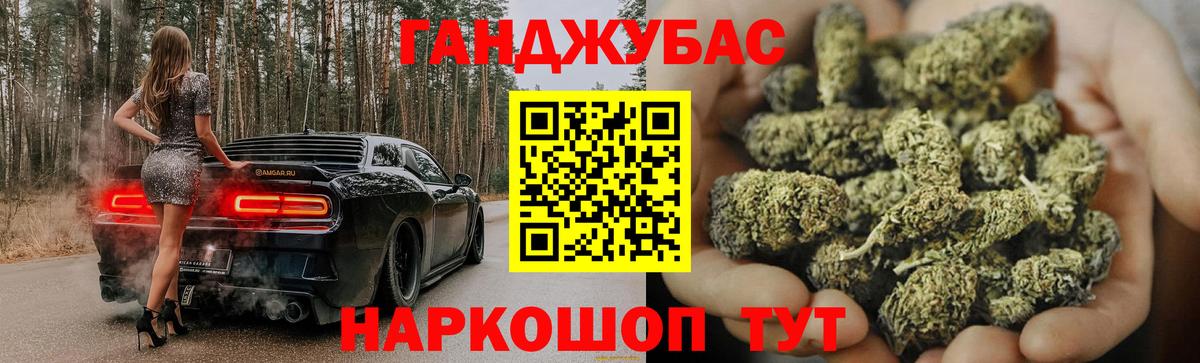 Каннабис индика Кингисепп